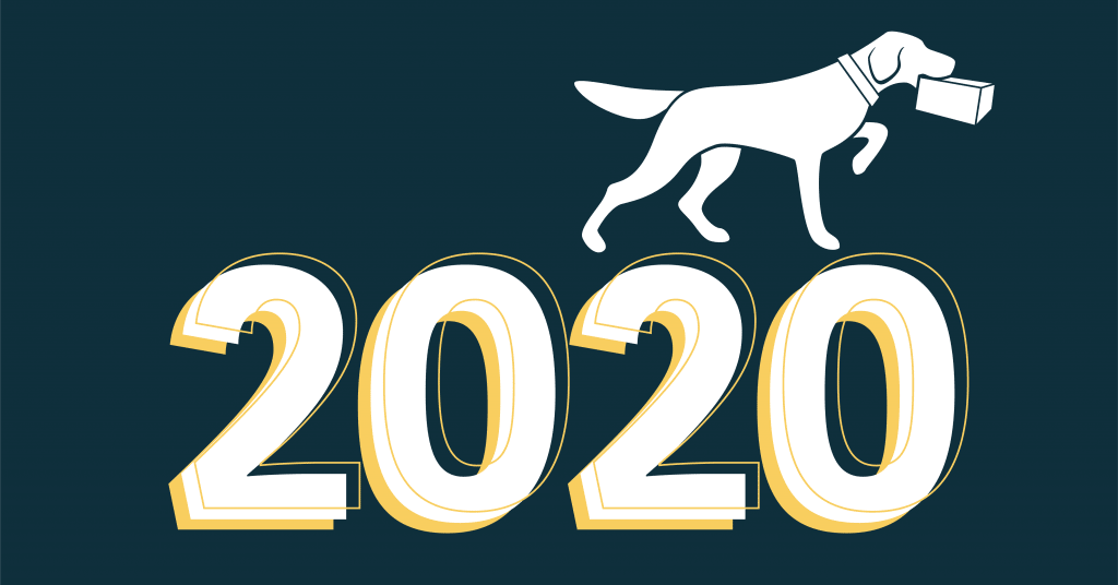 Navy image with fetch logo and a look back on 2020 text