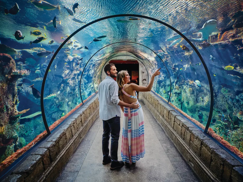 The Shark Reef Aquarium at Mandalay Bay in Las Vegas, one of the top 5 places to see during Apartmenatlize 2025